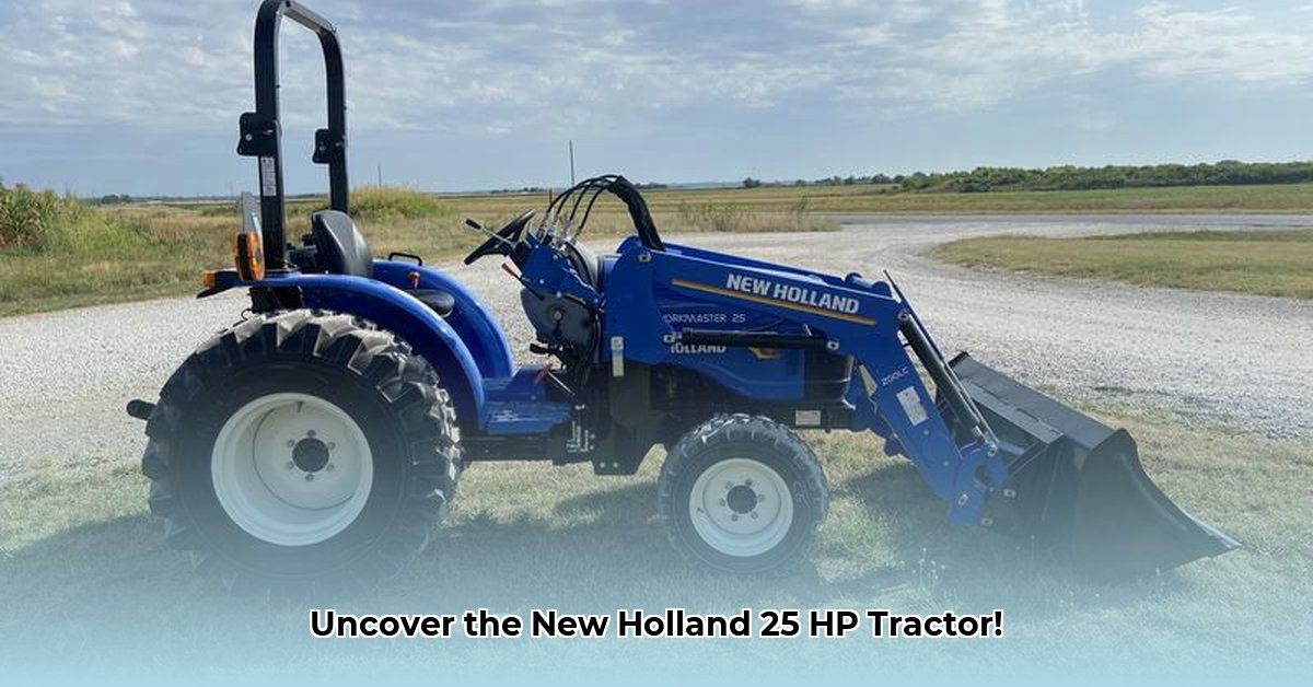 new-holland-25-hp-tractor